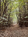 IMG_E7032[1]