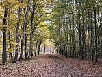 IMG_8033