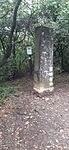 20241006_105357.heic