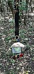 20241012_111033.heic