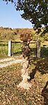 20241027_140951.heic