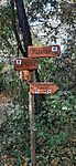 20241027_130537.heic