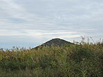 IMG_3202