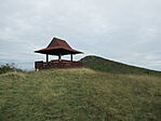 IMG_3210