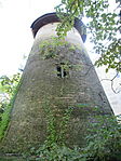 IMG_3311