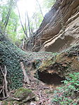 IMG_3650