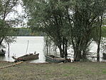 IMG_3520