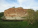 IMG_3581