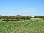 IMG_3611