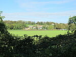 IMG_3615