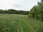 IMG_3667