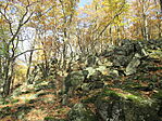 IMG_4522
