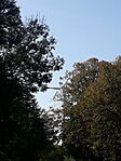 20241018_143041