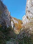 IMG_20241027_114214