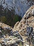 IMG_20241027_125534