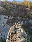 IMG_20241027_125539