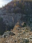IMG_20241027_130020