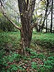 IMG_20241023_154222