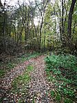 IMG_20241023_154812