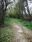 IMG_20241023_154836