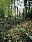 IMG_20241023_120052