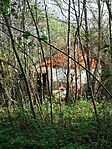 IMG_20241023_141337