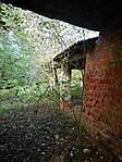 IMG_20241023_141707