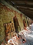 IMG_20241023_141739