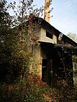 IMG_20241023_141838