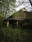 IMG_20241023_142109