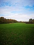 IMG_20241024_134329