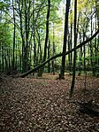 IMG_20241024_153919