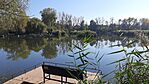 GCMBMM_20241022_114959