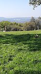 GCMBMM_20241022_125218