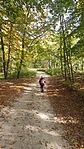 GCMM07_20241027_105601