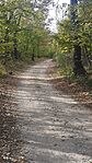GCMM07_20241027_115816