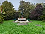 IMG_20241005_090859_316