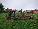 IMG_20241005_091002_006