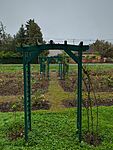 IMG_20241005_091726_639