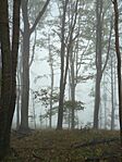 IMG_20241005_111232_481.jpg_compressed