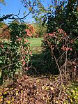 IMG_20241012_113718_628