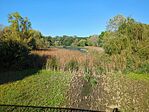IMG_20241012_143950_800.jpg_compressed