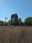 IMG_20241023_124258_960