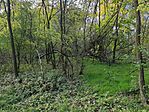 IMG_20241023_083354_225.jpg_compressed