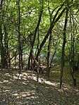 IMG_20241023_122925_863.jpg_compressed