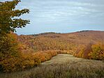 IMG_20241026_120344_338.jpg_compressed