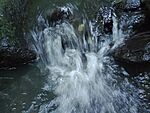 IMG_20241007_174058071_MFNR