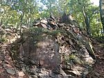 IMG_20241007_170713867_MFNR