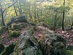 IMG_20241007_170508083_MFNR