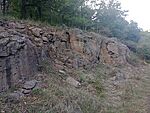 IMG_20241007_162224060_MFNR